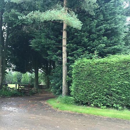 The Stables Near Glasgow Balmore Bagian luar foto